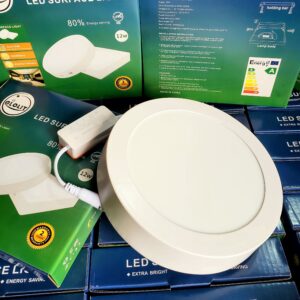 Surface light 12W