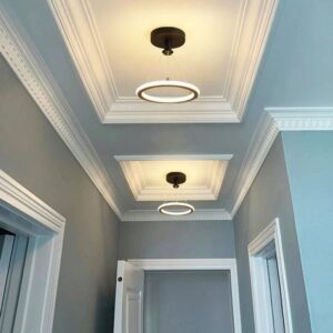 Ceiling light