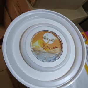 Ceiling light